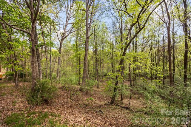 10601 Wildlife Road, Charlotte, NC 28278