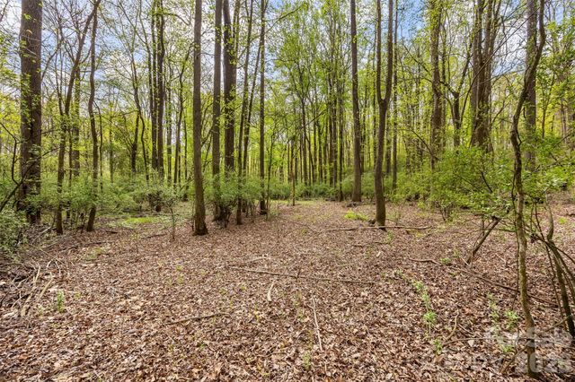 10601 Wildlife Road, Charlotte, NC 28278