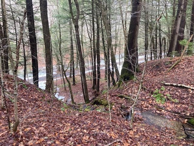 147 Gilbert Road, Marlboro, VT 05344