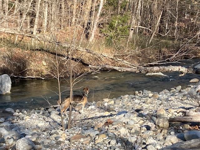 147 Gilbert Road, Marlboro, VT 05344
