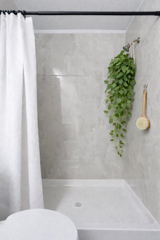 802 W Bolan Ave, Spokane, WA 99224