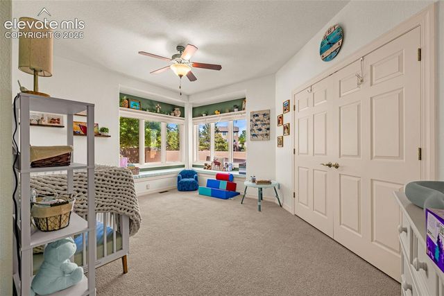 5710 Harbor Pines Point, Colorado Springs, CO 80919