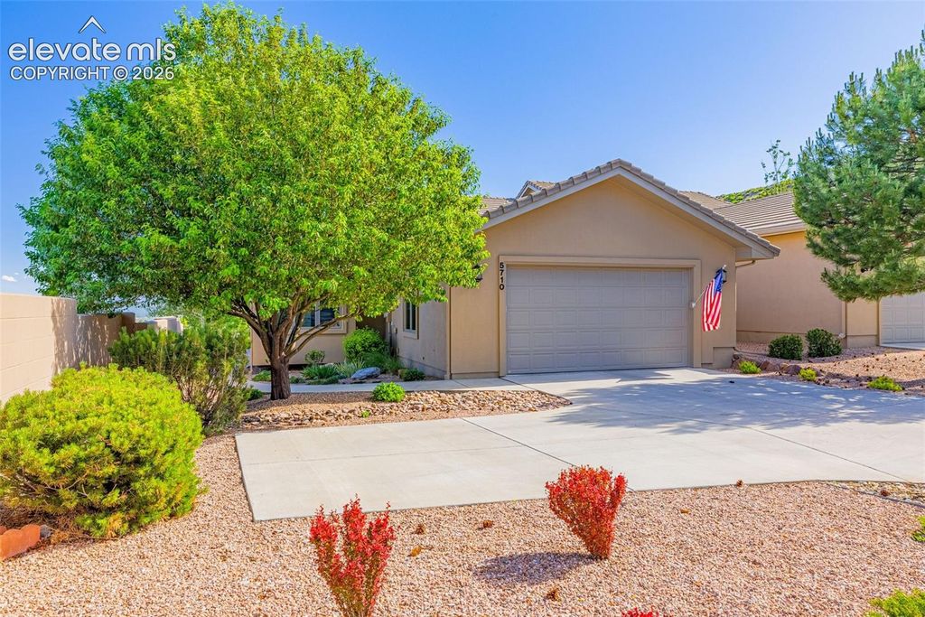 5710 Harbor Pines Point, Colorado Springs, CO 80919 — photo 5