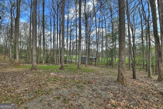 186 Stegall Mill Trail, Ellijay, GA 30536