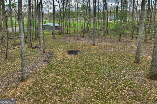 186 Stegall Mill Trail, Ellijay, GA 30536