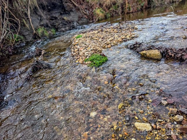 00 Walnut Valley Lane 5, Hendersonville, NC 28739