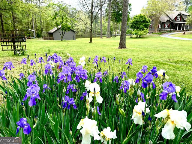 75 Mikes Lane, Sharpsburg, GA 30277