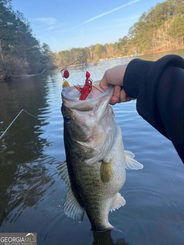 75 Mikes Lane, Sharpsburg, GA 30277