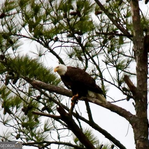 75 Mikes Lane, Sharpsburg, GA 30277