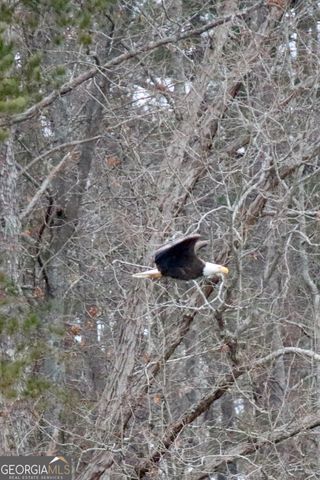 75 Mikes Lane, Sharpsburg, GA 30277