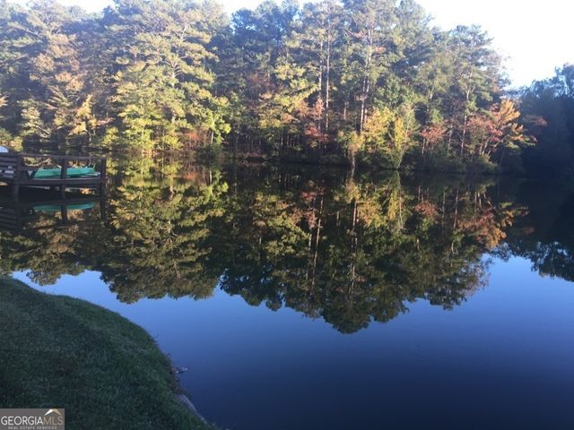 75 Mikes Lane, Sharpsburg, GA 30277