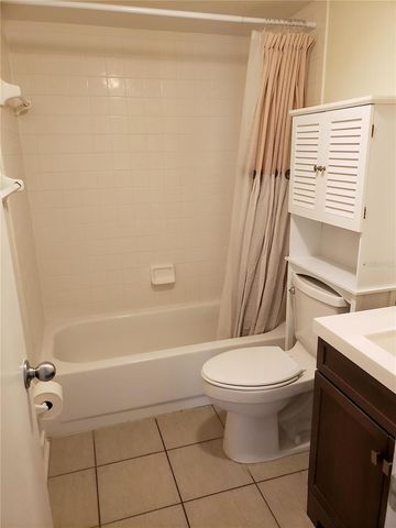 15215 AMBERLY DRIVE 208, Tampa, FL 33647