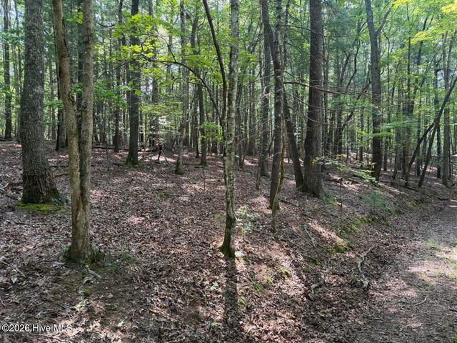 919 Panther Top Road, Murphy, NC 28906
