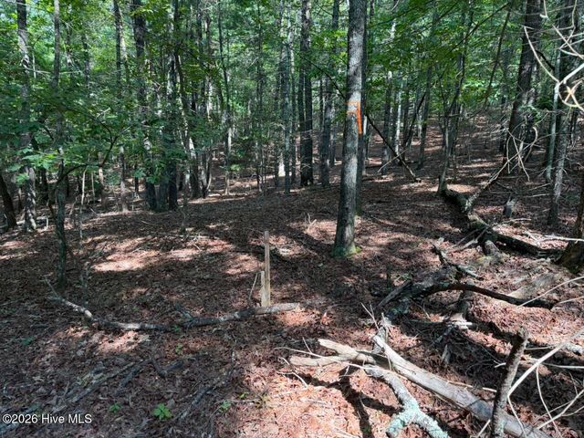 919 Panther Top Road, Murphy, NC 28906