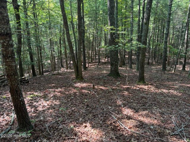 919 Panther Top Road, Murphy, NC 28906