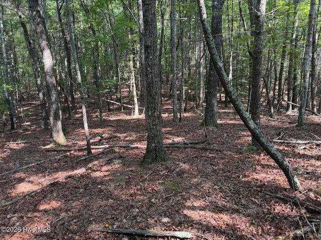 919 Panther Top Road, Murphy, NC 28906