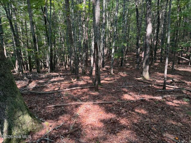 919 Panther Top Road, Murphy, NC 28906