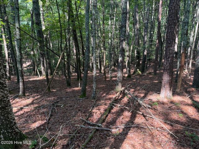 919 Panther Top Road, Murphy, NC 28906