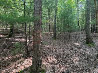 919 Panther Top Road, Murphy, NC 28906