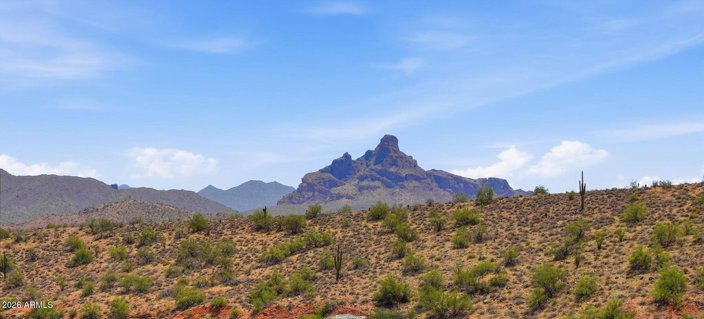 16360 E RIDGELINE Drive, Fountain Hills, AZ 85268 — photo 4