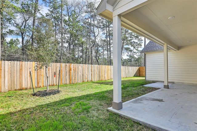 423 Black Walnut Drive, Conroe, TX 77304