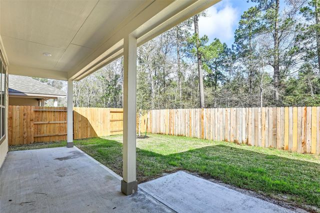 423 Black Walnut Drive, Conroe, TX 77304