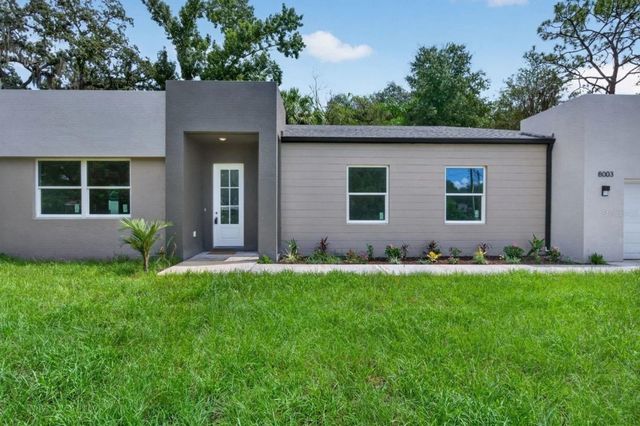 8003 CHANEY LANE, Tampa, FL 33617