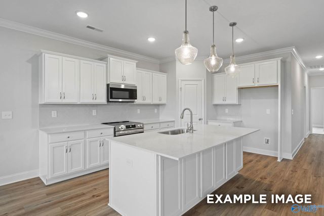 212 Slade Thomas Drive, Meridianville, AL 35759