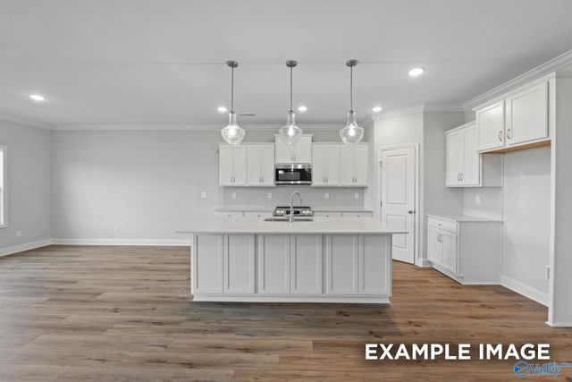 212 Slade Thomas Drive, Meridianville, AL 35759