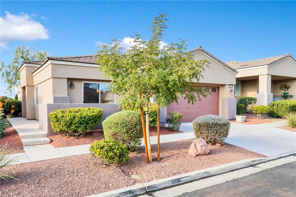 10529 India Hawthorn Avenue, Las Vegas, NV 89144 — exterior