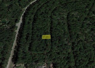 0 White Feather Circle, Hempstead, TX 77445