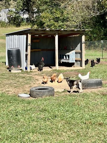 260 Miller Rd, Lafayette, TN 37083