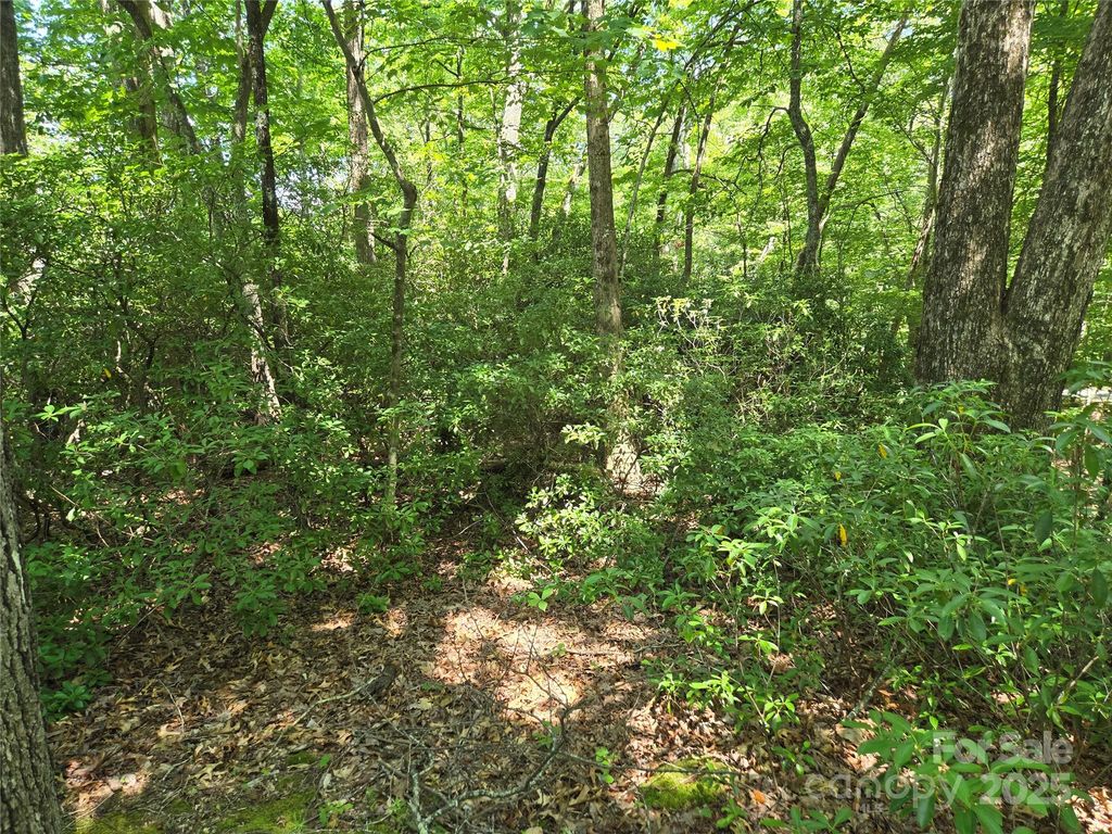 Lot 201 Little Creek Road, Lake Lure, NC 28746