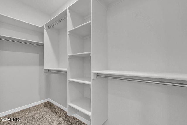 709 Paseo Modesto Drive, Horizon City, TX 79928