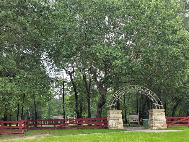 18023 Bambriar Drive, Houston, TX 77090