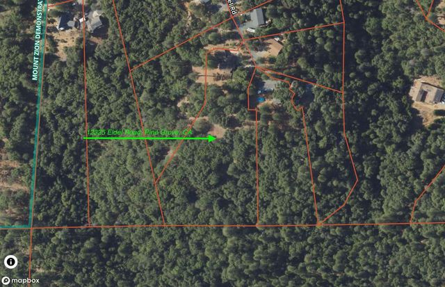 12325 Eldel Rd, Pine Grove, CA 95665