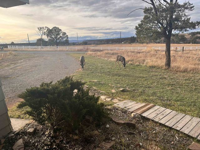 12 Cedar Drive, Norwood, CO 81423