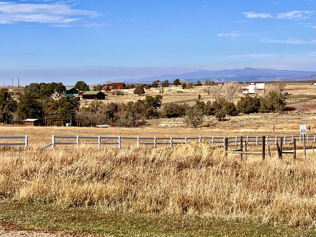 12 Cedar Drive, Norwood, CO 81423