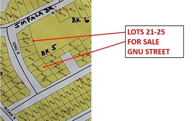 Lot 21 Gnu Street, Onalaska, TX 77360