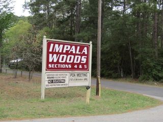 Lot 21 Gnu Street, Onalaska, TX 77360