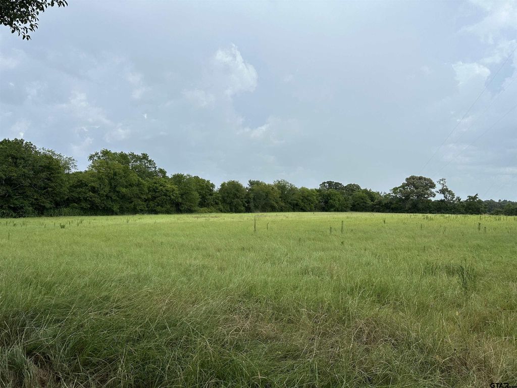 3697 An County Road 309 Tract 2, Frankston, TX 75763