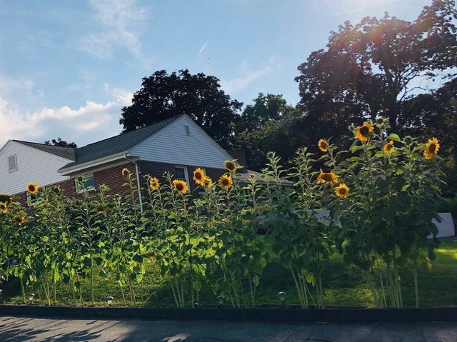 1205 Northampton St, Holyoke, MA 01040