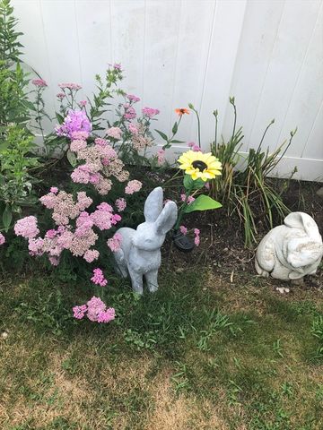 1205 Northampton St, Holyoke, MA 01040