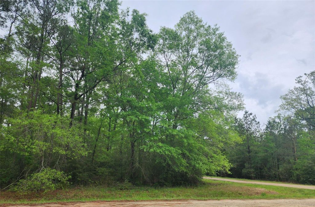 TBD Cloverdale, Livingston, TX 77351