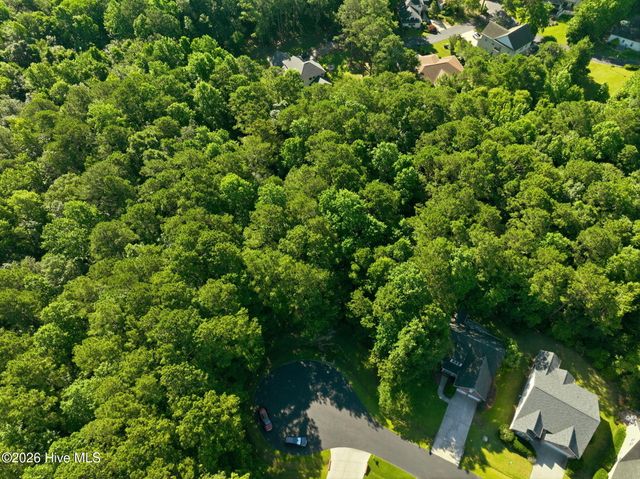 110 Bridge Tender Cove, Sneads Ferry, NC 28460