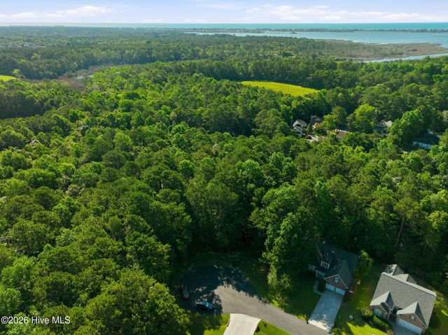 110 Bridge Tender Cove, Sneads Ferry, NC 28460