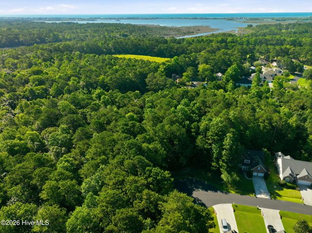 110 Bridge Tender Cove, Sneads Ferry, NC 28460