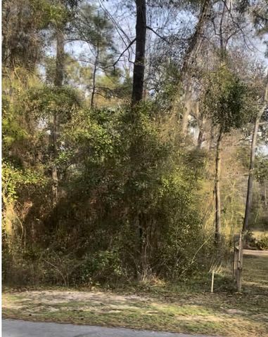 1 Pine Log Road, Chipley, FL 32428