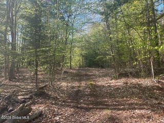 L12 Adirondack Heights Road Lot #6, Chester, NY 12817