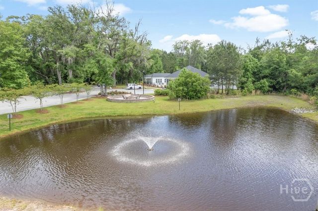 13 Lawley Court, Richmond Hill, GA 31324
